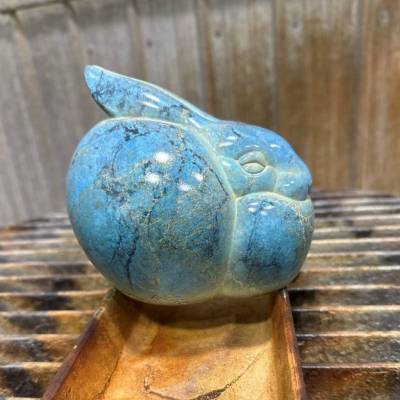 Bunny